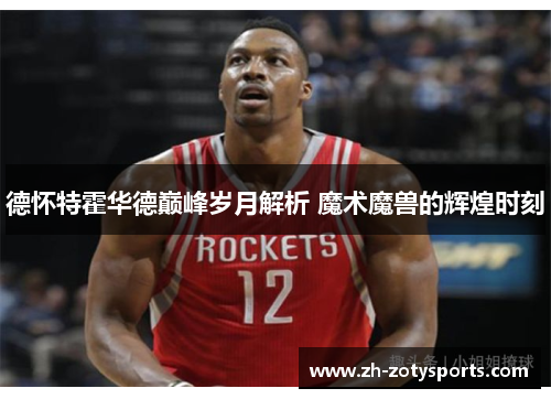 德怀特霍华德巅峰岁月解析 魔术魔兽的辉煌时刻