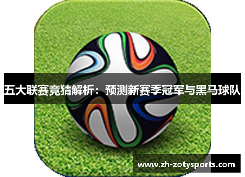 五大联赛竞猜解析：预测新赛季冠军与黑马球队